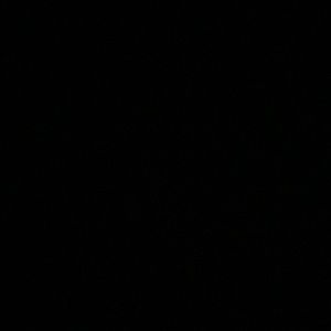 Meet your Posher, Adriana